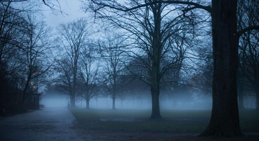 Tragédia Szatymazon, közmunkást ért szörnyű baleset