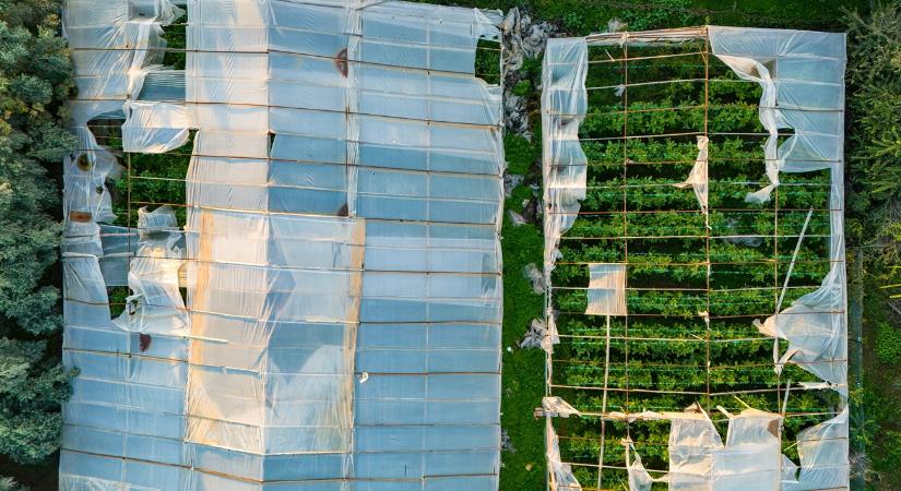 Időjárás: Vigyázz a fóliákra, 95 km/h-s szélrohamok téphetik meg a gazdaságokat!