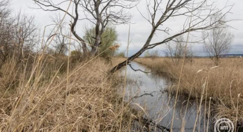 Nemzeti parki terület lett a dél-balatoni Nagyberek