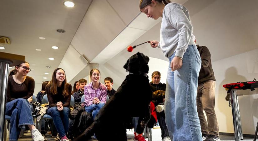 Még a pöcegödörből is kiszimatolja az emberi maradványokat a zalai csodakutya (galéria, videó)