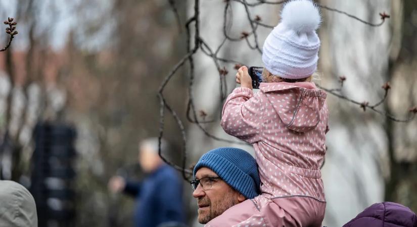 Ettől elolvadsz: így hallgatta egy kislány Orbán Viktor Veszprémben