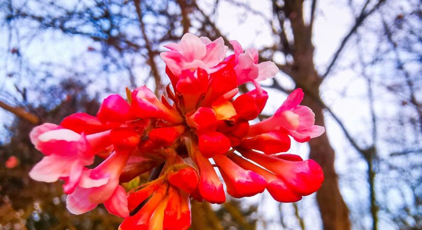 Szeles, esős idő: nyugaton lesz hűvösebb