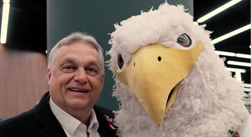 „A jelenlegi rendszer stabil és kiszámítható működést biztosít” – kampánylevelet küldtek ki a Fradi minden dolgozójának, sportolójának