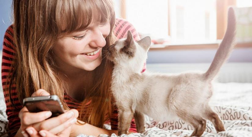 A macska szeretetnyelve: mit jelent a nyalogatás?