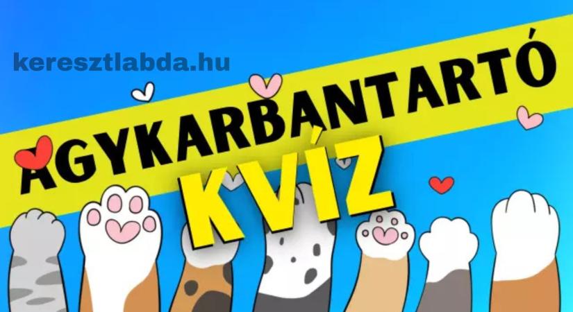 Napi agykarbantartó feladat: Meg tudod számolni az összes macskát? Sas szemed van?