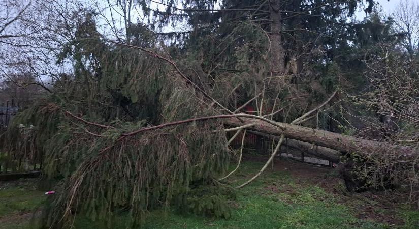 Az E.ON harcol a viharral – 120 településen újra van áram, de nehéz órák jönnek