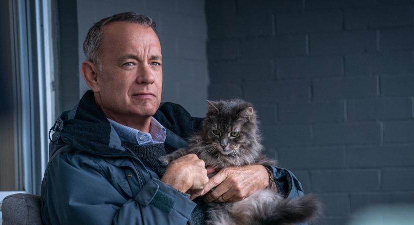 Tom Hanks újabb nagy dobással tér vissza, sorban állnak a stúdiók