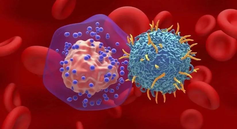 Áttörés a rák gyógyításában: teljes daganatok tűntek el a kísérletekben