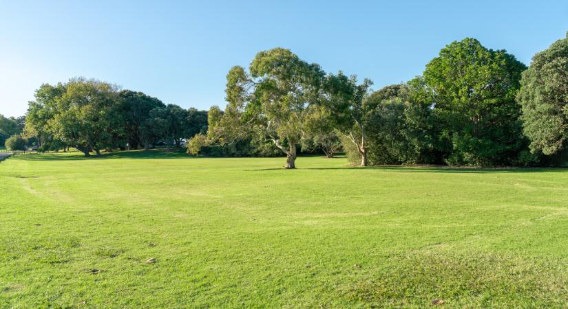 Megújul az ikonikus központ: 1,3 milliárd forintból készül a fejlesztés