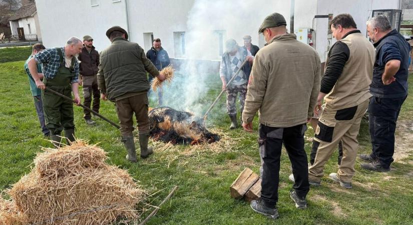 Pörzsölt hagyományok, rotyogó üstök – különleges disznóvágást tartottak Cikón (képgaléria)