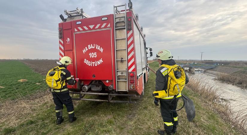Dupla csapás Hajdú-Biharban! A szél és a tűz is pusztított pénteken, a viharos lökések miatt gyorsan terjedtek mindenféle a lángok