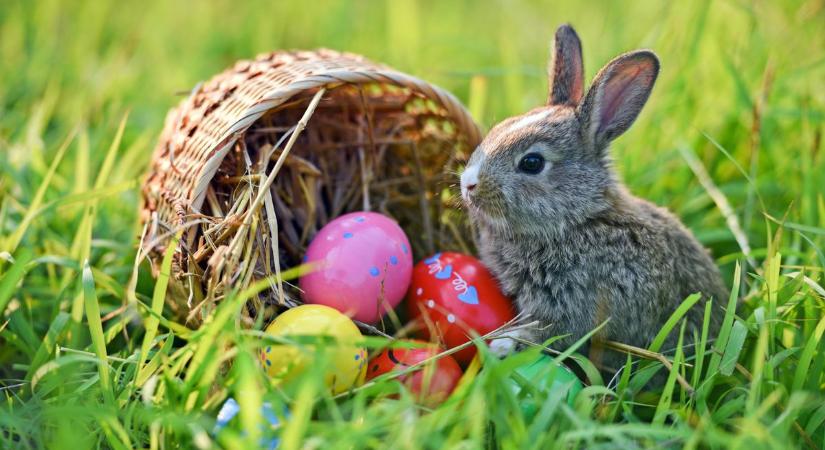 Programokat dönt dugába az ítéletidő