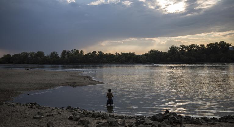 Cirok, teve és kaktusz lesz a jövő Magyarországán, ha nem cselekszünk azonnal