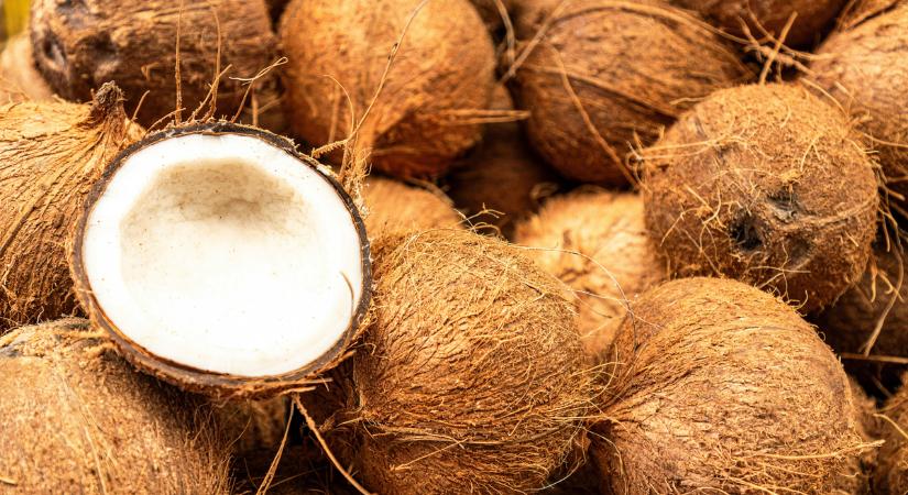 Éjszakai nasi? A brazil krémes kókuszpuding mindent visz