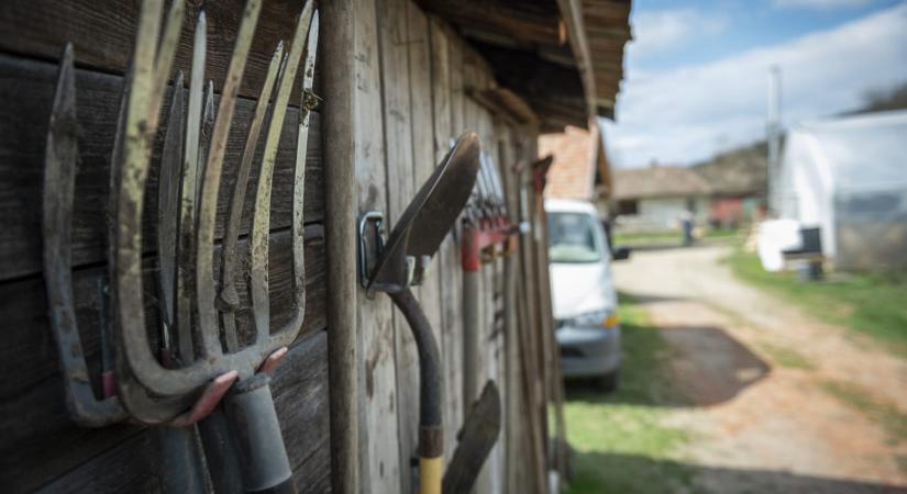Májustól változik az útdíjtörvény, élőállat-szállításra is lehet majd mentességi igazolást kérni