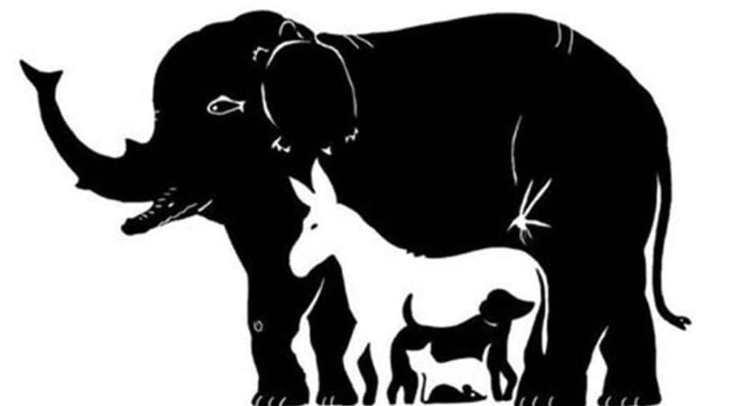 Optikai illúzió, ami próbára teszi a figyelmedet: hány állatot találsz meg?