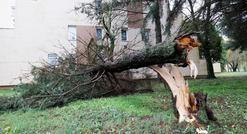 Háztartások ezrei maradtak áram nélkül Nyugat-Magyarországon az ítéletidőben – a nap hírei