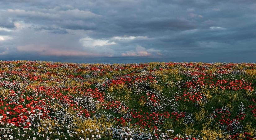 Időjárás 2026. március 28.: Melegszik az idő, de záporok még előfordulhatnak