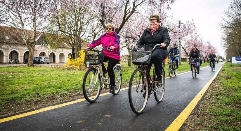 Olvasóink döntöttek: ez lett Pécs legjobb bicikliszervize!