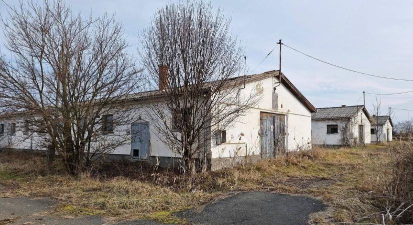 Dermesztő látvány fogadta az urbexeseket: így néz ki ma az elhagyott sertéstelep