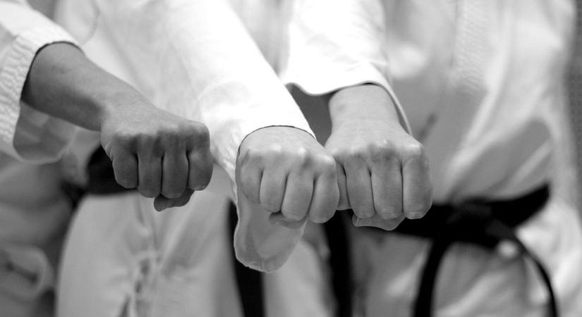 Sakura Karate Kupa: szép vasi eredmények