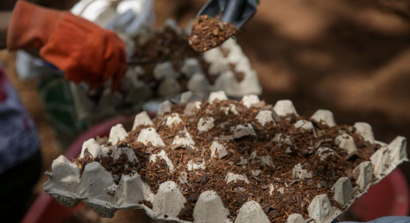 Ezt a hibát rengeteg magyar kertes házban elkövetik tavasszal: ki ne dobd ezt a szemetet, egyenesen aranyat ér a termőföldnek