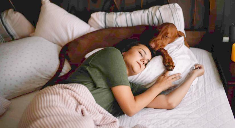 Erről tudnod kell, ha a kutyáddal vagy a macskáddal aludnál együtt
