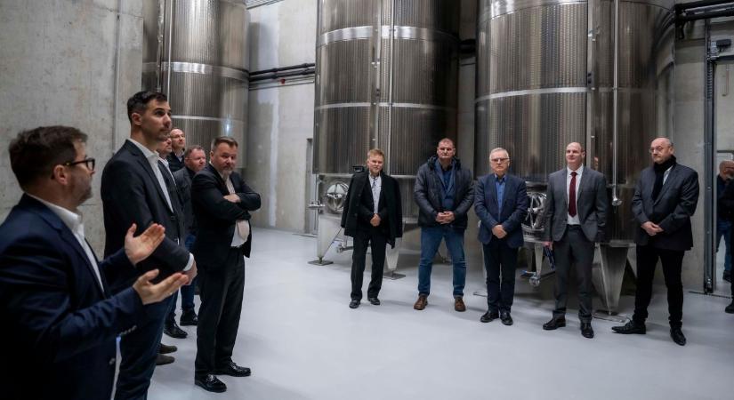 Ez a titok: hogyan tudnak versenyképesek maradni a borászatok?