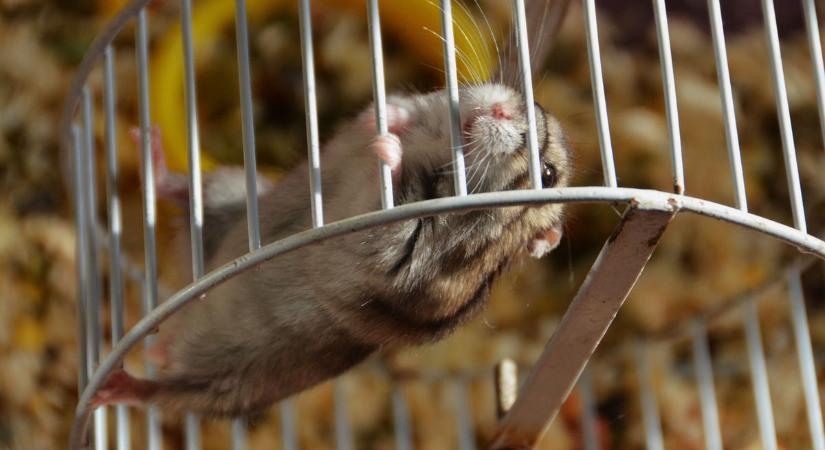 Amikor átállt a biológiai órám – de nem kellett volna