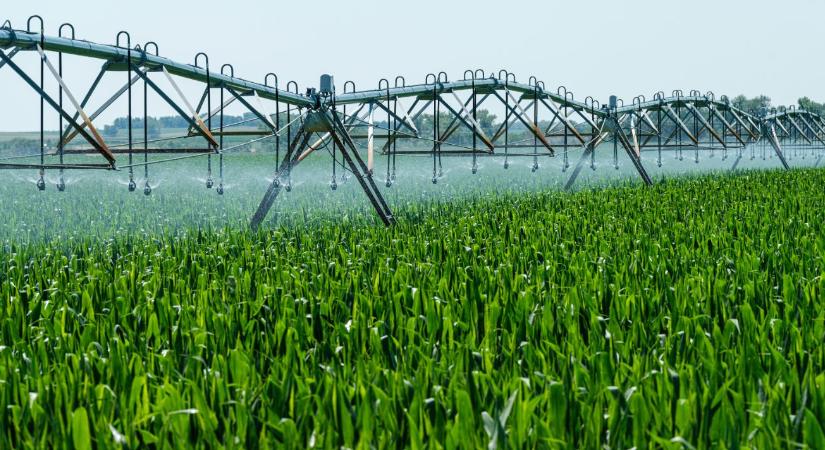 Öntözőrendszer telepítés: mikor érdemes elkezdeni?