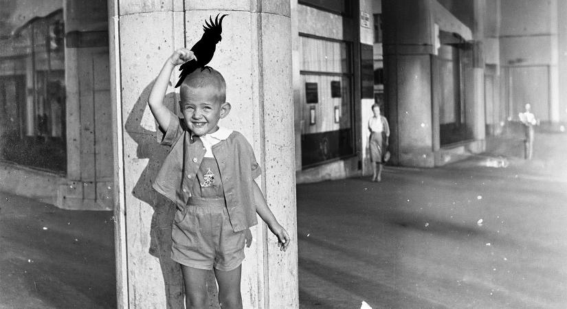 Acsai Roland: Amikor Misi kisfiú volt