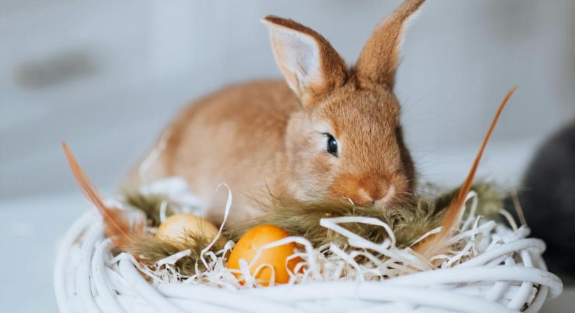 Programok Debrecenben: ünnepi események várnak mindenkit az egész városban