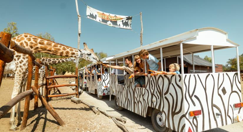 Három rendhagyó tavaszi szüneti program, amelyet garantáltan imádni fog a család