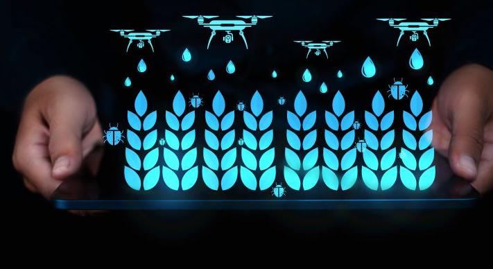 Mit ad a mesterséges intelligencia a gazdaságoknak?