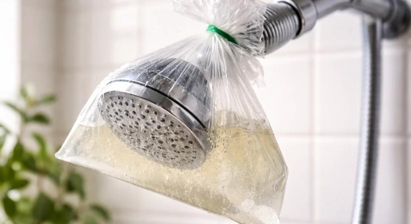 Egy zacskó ecet a zuhanyrózsán: 1 óra, és visszajön a víznyomás