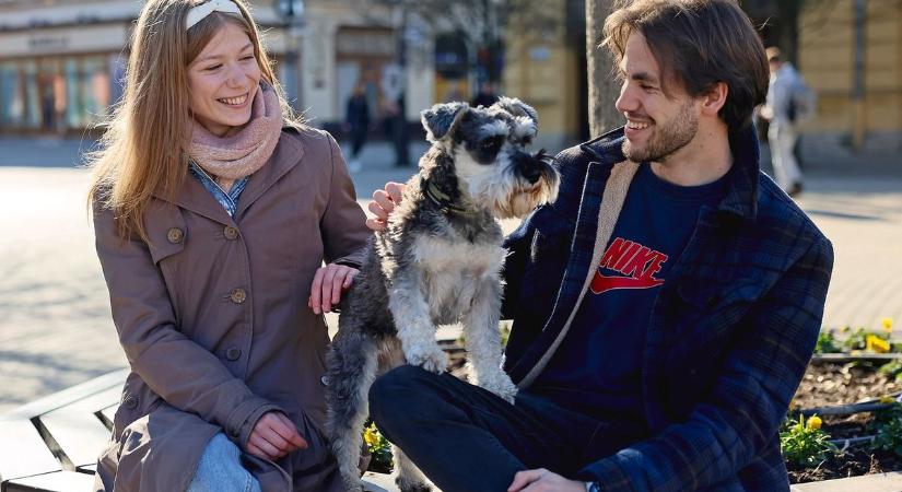 Kézműves műhelyvásár Pécsen: akár még egy dobot is összedobhatunk