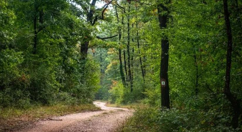 Titkos ösvények és elfeledett látnivalók a Balaton-felvidéken