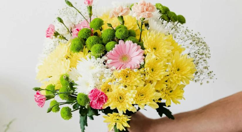 Friss, vágott virágból is hiány lehet az iráni háború miatt