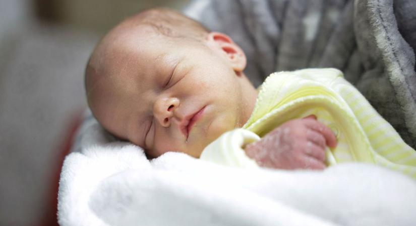 Megérkezett a legfrissebb gólyahír: egyensúlyra törekedett a természet az elmúlt héten