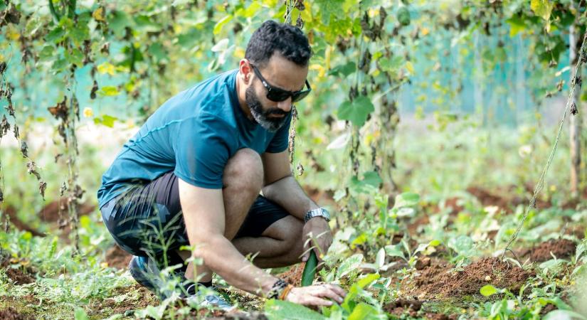 Új szabály 2026-tól: a munkaügyi hibák pénzbe kerülnek a gazdáknak