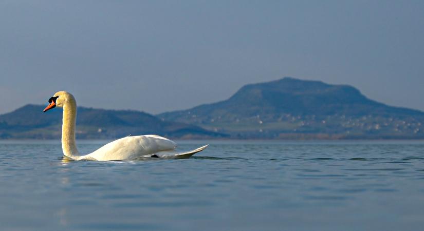 A Balaton vízszintje 90 centi, a víz 6,5 fokos