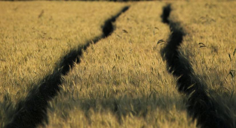 Jakab István: a cél az, hogy a jövő generációja a kezébe vegye a saját sorsát az agráriumban