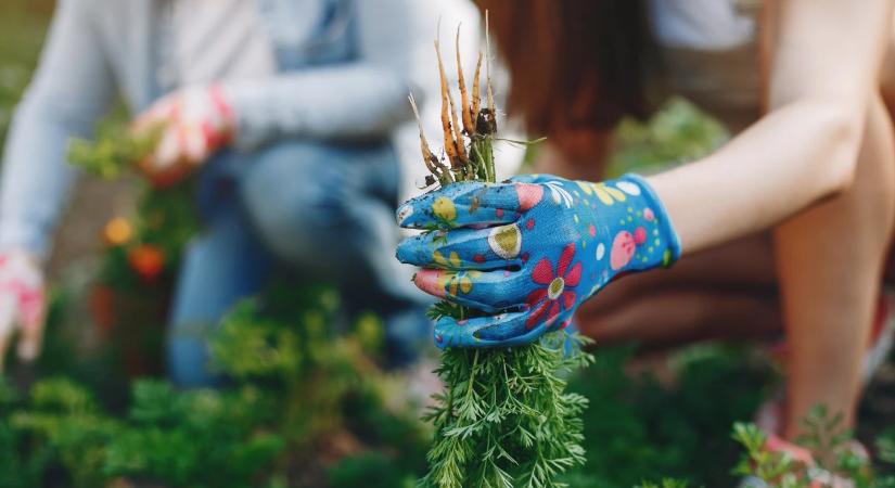 10 tavaszi kerti munka, amit most érdemes elvégezni a gyönyörű kertért
