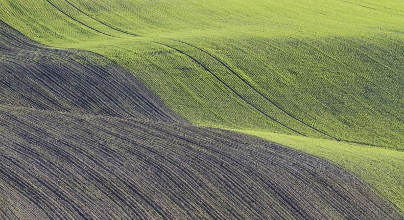 NAK elnök: az agráriumban a vetés a jövőről szól