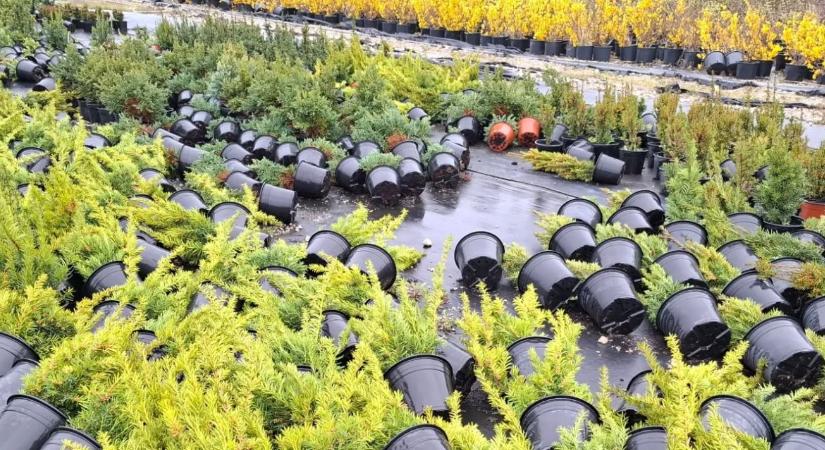 Hét vármegyére adtak ki riasztást! Ez vár ránk ma...