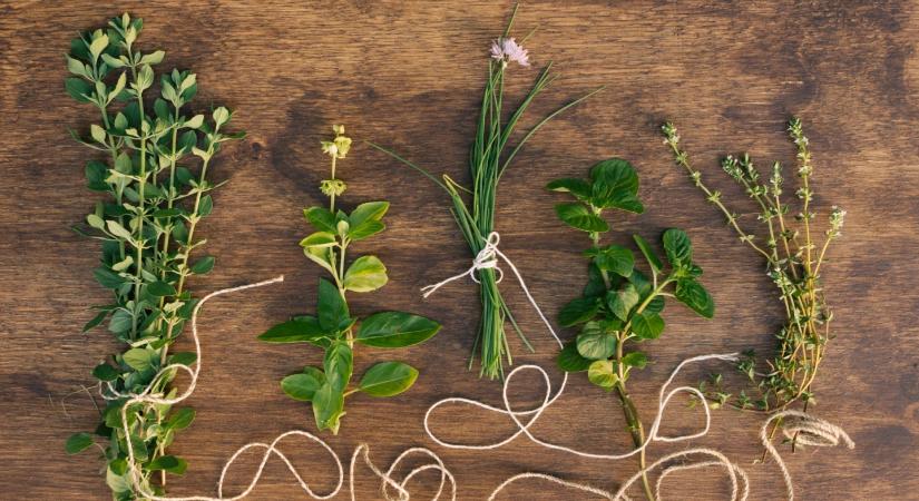 Tavaszi fáradtság ellen: 6 gyógynövény, ami segíthet