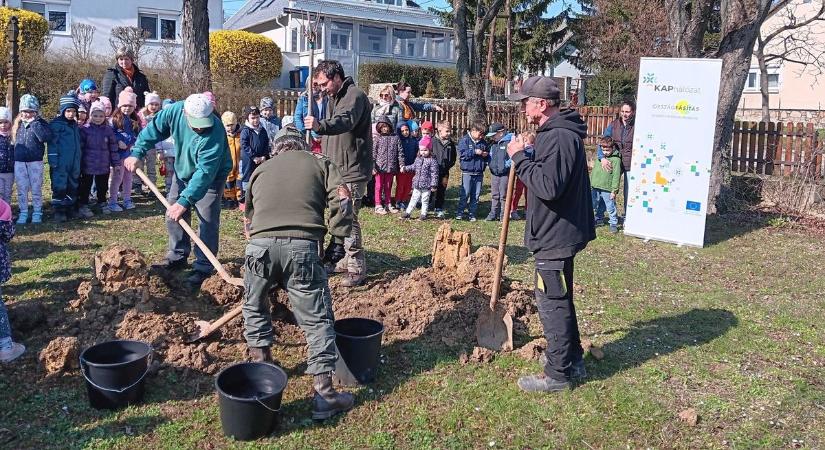 Zöldül Szentgál: folytatódik a Településfásítási program (galéria)