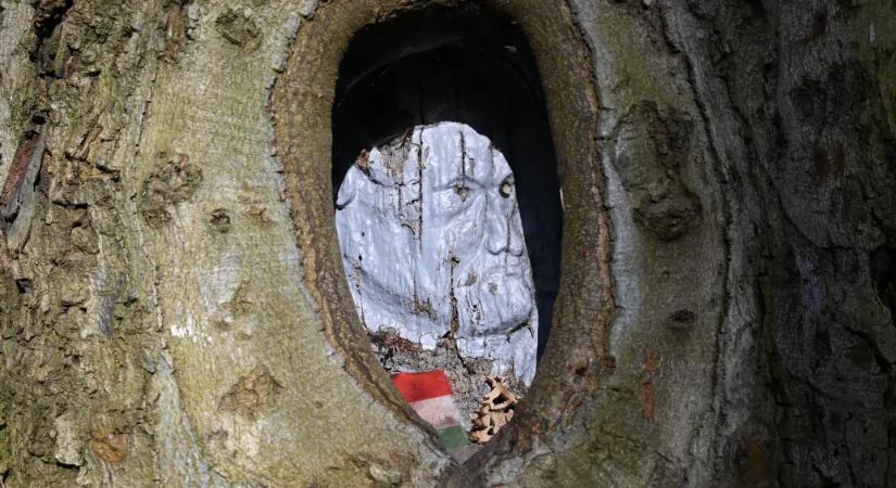 A Vértesben a legedzettebb kéktúrázó is sűrűn felvonja a szemöldökét