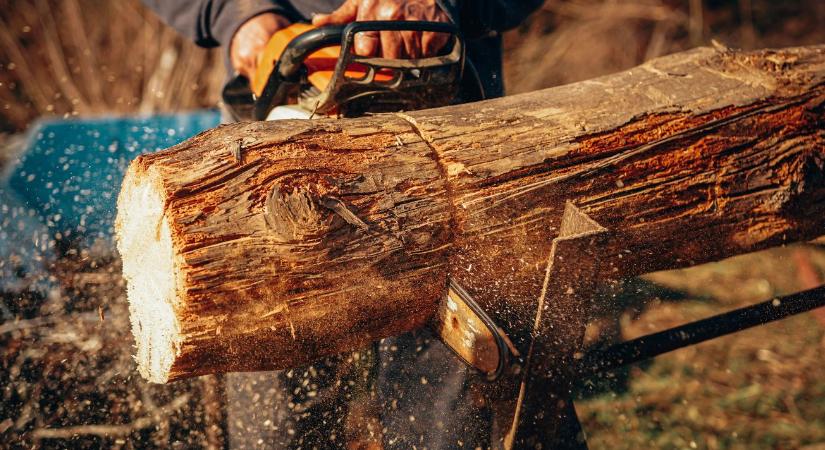 Láncfűrész karbantartás: mikor és hogyan?
