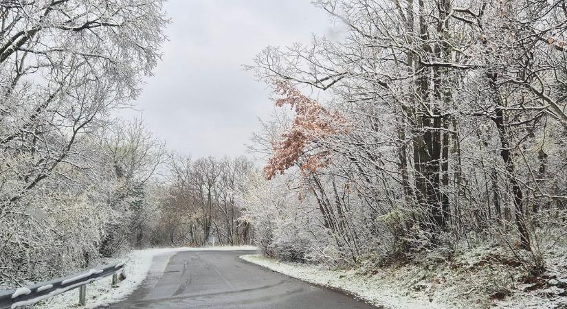 Havazott a Mecsekben, képeket kaptunk a kifehéredett tájról!